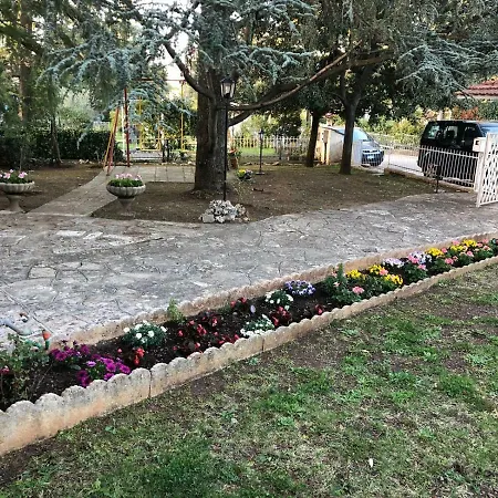 L'acero Rosso Quasani